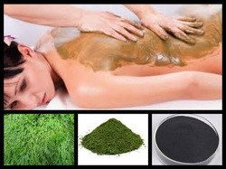 Green seaweed marine mask massage